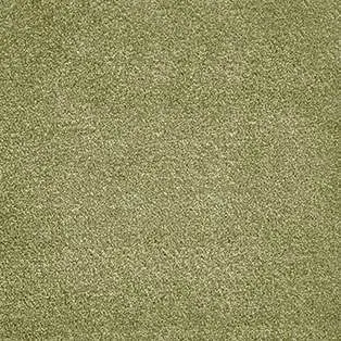 Ковровое покрытие AW Ganges 21 - (4м) в Кургане