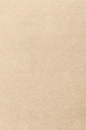 Ковровое покрытие AW Oinone 34 - (5м) в Кургане