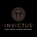 ПВХ плитка Invictus купить в Кургане по выгодной цене ПВХ плитка Invictus в Кургане