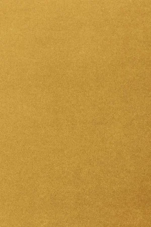 Ковровое покрытие AW Oinone 54 - (5м) в Кургане