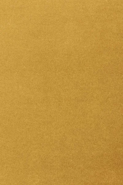 Ковровое покрытие AW Oinone 54 - (5м) в Кургане