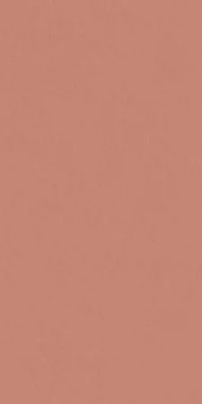 Керамогранит Italon Серфейс Скарлетт (Патинированная, 60x120) в Кургане