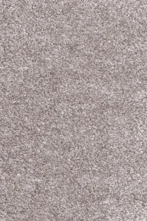 Ковровое покрытие AW Euphoria 16 - (5м) в Кургане