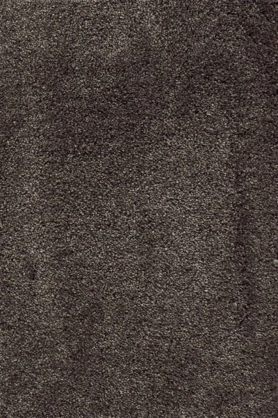 Ковровое покрытие AW Fedone 44 - (5м) в Кургане