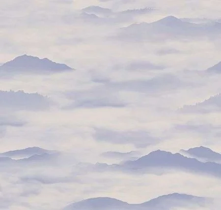 Обои Loymina Clair CLR4, 006 в Кургане