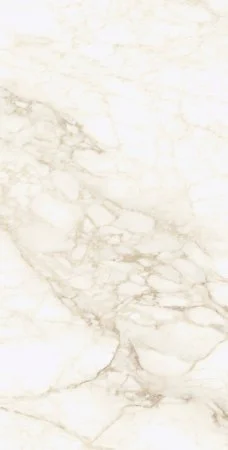 Керамогранит Coliseum Микеланджело Ворм 60х120 (Натуральный и Реттифицированный) в Кургане