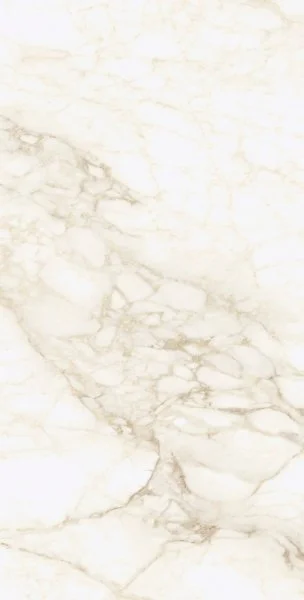 Керамогранит Coliseum Микеланджело Ворм 60х120 (Натуральный и Реттифицированный) в Кургане