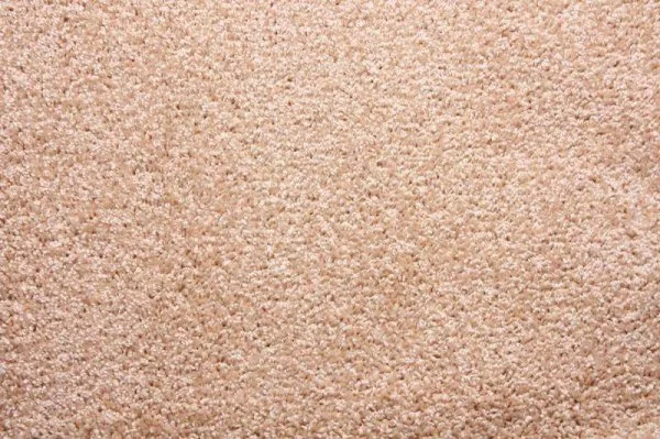 Ковровое покрытие Zartex Фортуна 004 кремовый - 3 м в Кургане