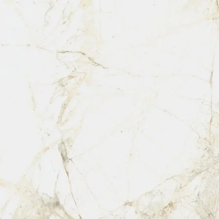 Керамогранит Coliseum Канова Уайт 60х60 (Натуральный и Реттифицированный) в Кургане