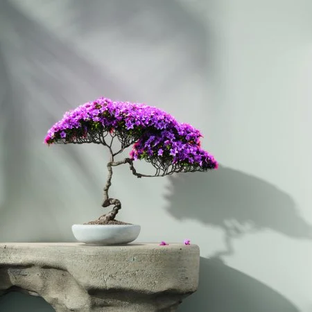 Обои Loymina Lotus LOT1 112 в Кургане