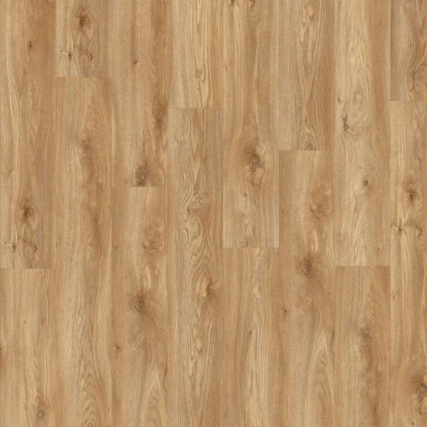 LVT-плитка Moduleo Roots Glue 0.55 EIR Sierra Oak 58346Q в Кургане