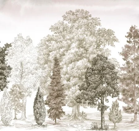 Обои Loymina Пейзаж vol. 2 ART14 012 в Кургане