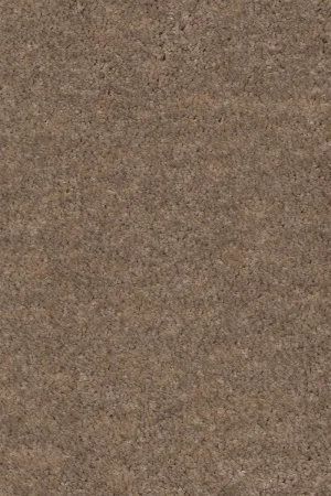 Ковровое покрытие AW Euphoria 36 - (4м) в Кургане