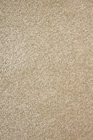 Ковровое покрытие AW Euphoria 33 - (5м) в Кургане