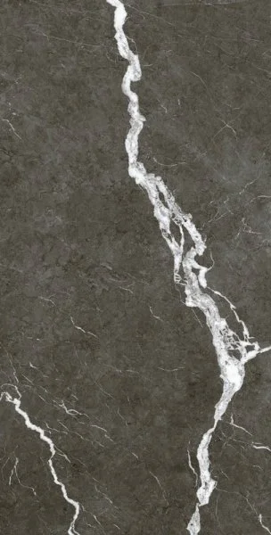 Керамогранит Coliseum Микеланджело Дарк 60х120 (Натуральный и Реттифицированный) в Кургане