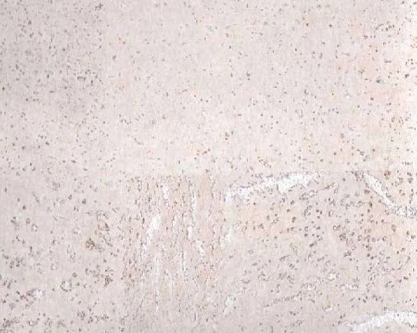 Настенное пробковое покрытие CorkArt PW 386 WS в Кургане