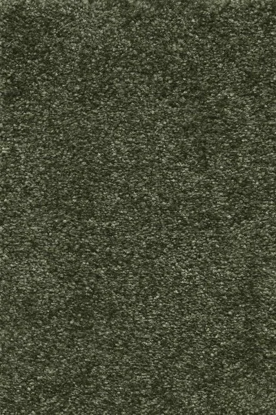 Ковровое покрытие AW Certosa 24 - (4м) в Кургане