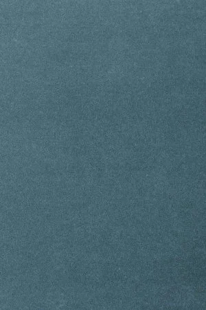 Ковровое покрытие AW Oinone 74 - (5м) в Кургане