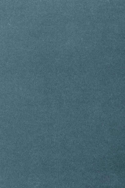 Ковровое покрытие AW Oinone 74 - (5м) в Кургане