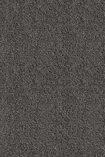 Ковровое покрытие AW Messalina 99 - (5м) в Кургане