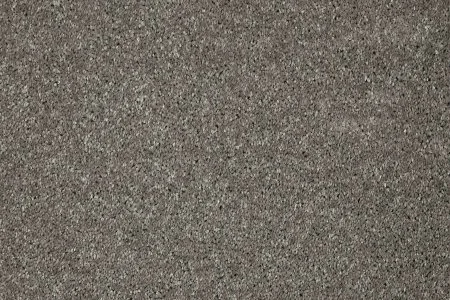 Ковровое покрытие AW Gala 94 - (5м) в Кургане