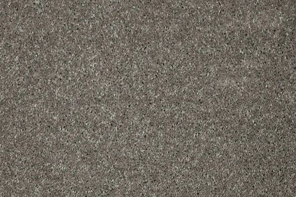 Ковровое покрытие AW Gala 94 - (5м) в Кургане