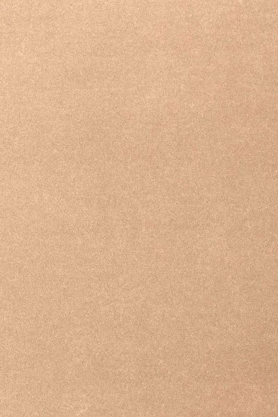 Ковровое покрытие AW Oinone 08 - (4м) в Кургане