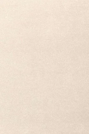 Ковровое покрытие AW Oinone 03 - (5м) в Кургане