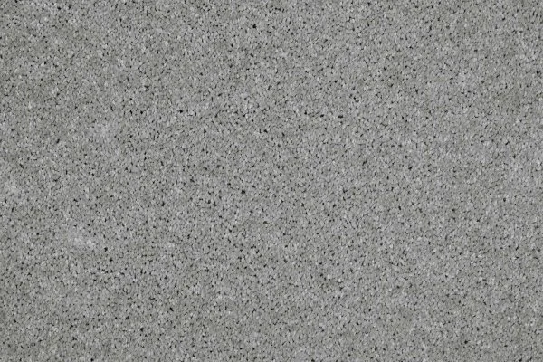 Ковровое покрытие AW Gala 90 - (4м) в Кургане