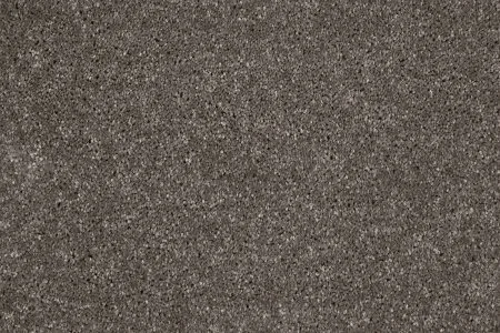 Ковровое покрытие AW Gala 49 - (5м) в Кургане