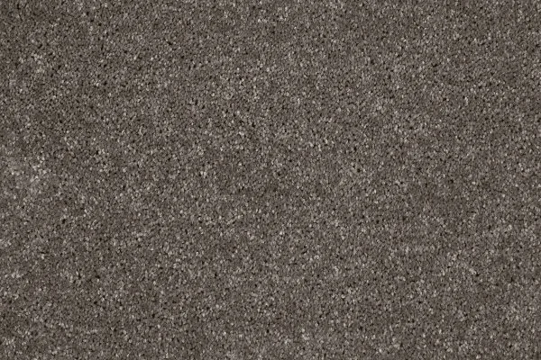 Ковровое покрытие AW Gala 49 - (4м) в Кургане