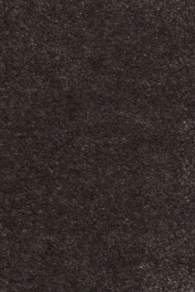 Ковровое покрытие AW Euphoria 43 - (4м) в Кургане