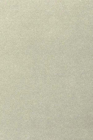 Ковровое покрытие AW Oinone 02 - (4м) в Кургане