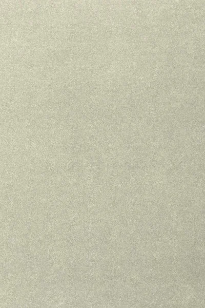 Ковровое покрытие AW Oinone 02 - (4м) в Кургане