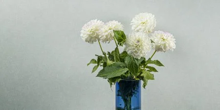 Обои Loymina Shade vol.2 SDR5, 001 в Кургане