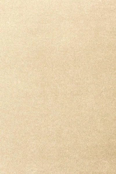 Ковровое покрытие AW Oinone 33 - (4м) в Кургане