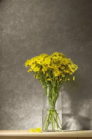 Обои Loymina Golden Library TDG 7, 008 в Кургане