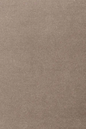 Ковровое покрытие AW Oinone 49 - (4м) в Кургане