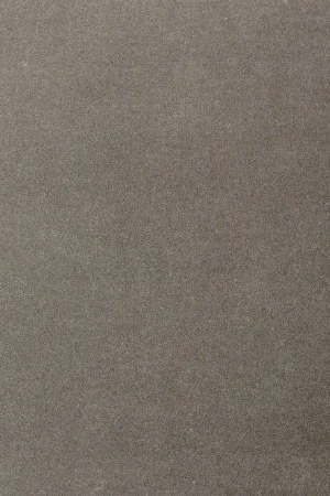 Ковровое покрытие AW Oinone 95 - (4м) в Кургане