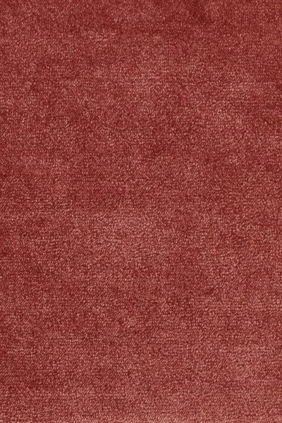 Ковровое покрытие AW Omphale 10 - (5м) в Кургане