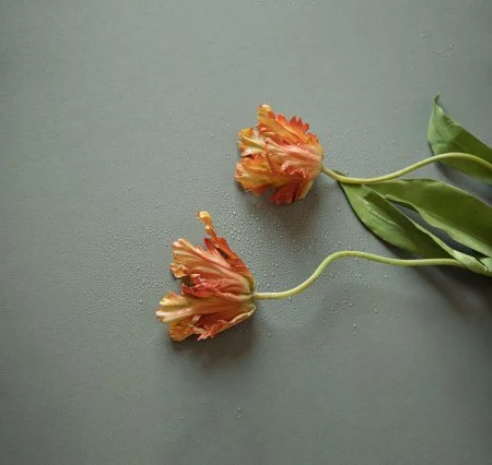 Обои Loymina Russian Classic Ru10, 006 в Кургане