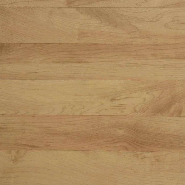 Спортивный линолеум Tarkett Omnisports Action 65 Cold Beech в Кургане