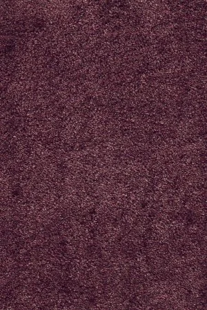 Ковровое покрытие AW Fedone 19 - (5м) в Кургане