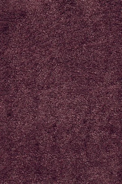 Ковровое покрытие AW Fedone 19 - (5м) в Кургане