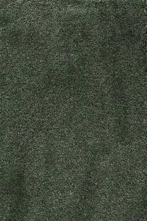 Ковровое покрытие AW Fedone 24 - (5м) в Кургане