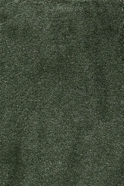 Ковровое покрытие AW Fedone 24 - (5м) в Кургане