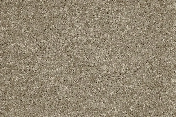 Ковровое покрытие AW Gala 33 - (4м) в Кургане