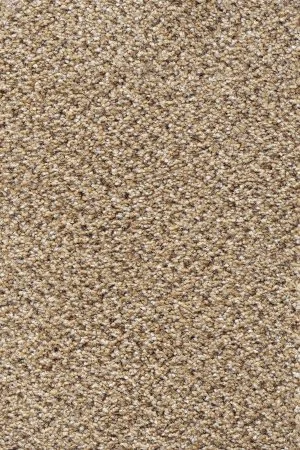Ковровое покрытие AW Stainaway Tweed 50 - (4м) в Кургане