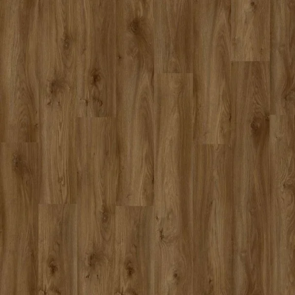 LVT-плитка Moduleo Roots Glue 0.55 EIR Sierra Oak 58876Q в Кургане