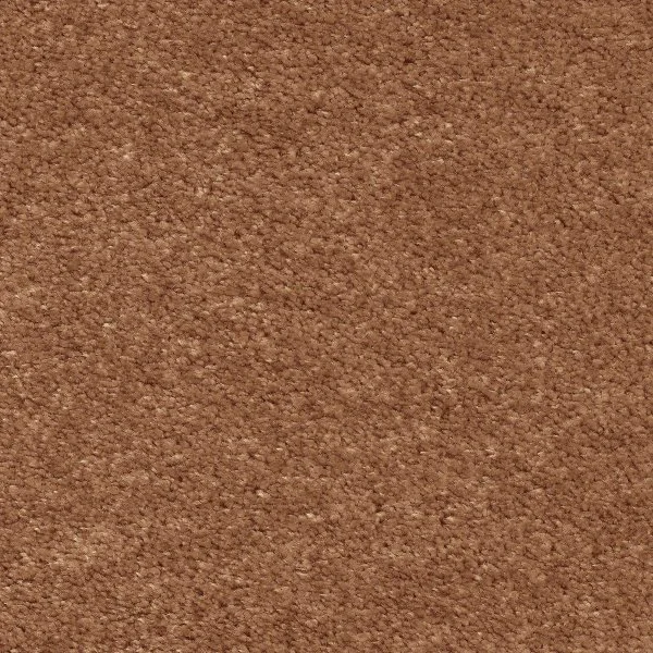 Ковровое покрытие AW Euphoria 84 - (5м) в Кургане